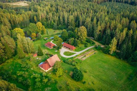 С высоты птичьего полета